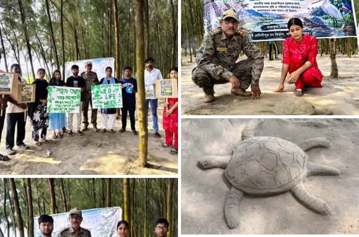 বালু শিল্পে প্রাণী সংরক্ষণের বার্তা